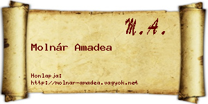 Molnár Amadea névjegykártya